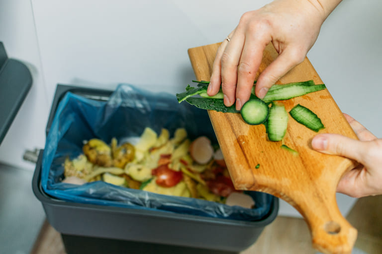 О важности переработки отходов продуктов питания по фкко