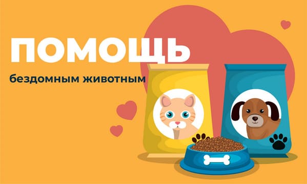 Лайфхак для московских школьников-как сделать сухой корм для животных из отходов органики?