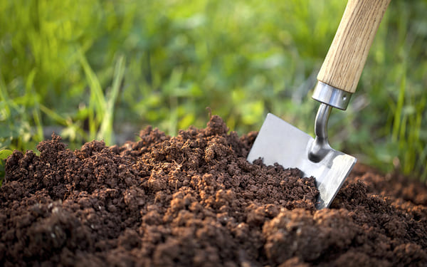 Русские ученые открыли новый способ очистки почвы